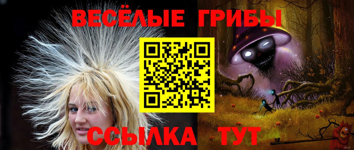Галлюциногенные грибы MAGIC MUSHROOMS  Вход с VPN  Галлюциногенные грибы Psilocybe  Прокопьевск 